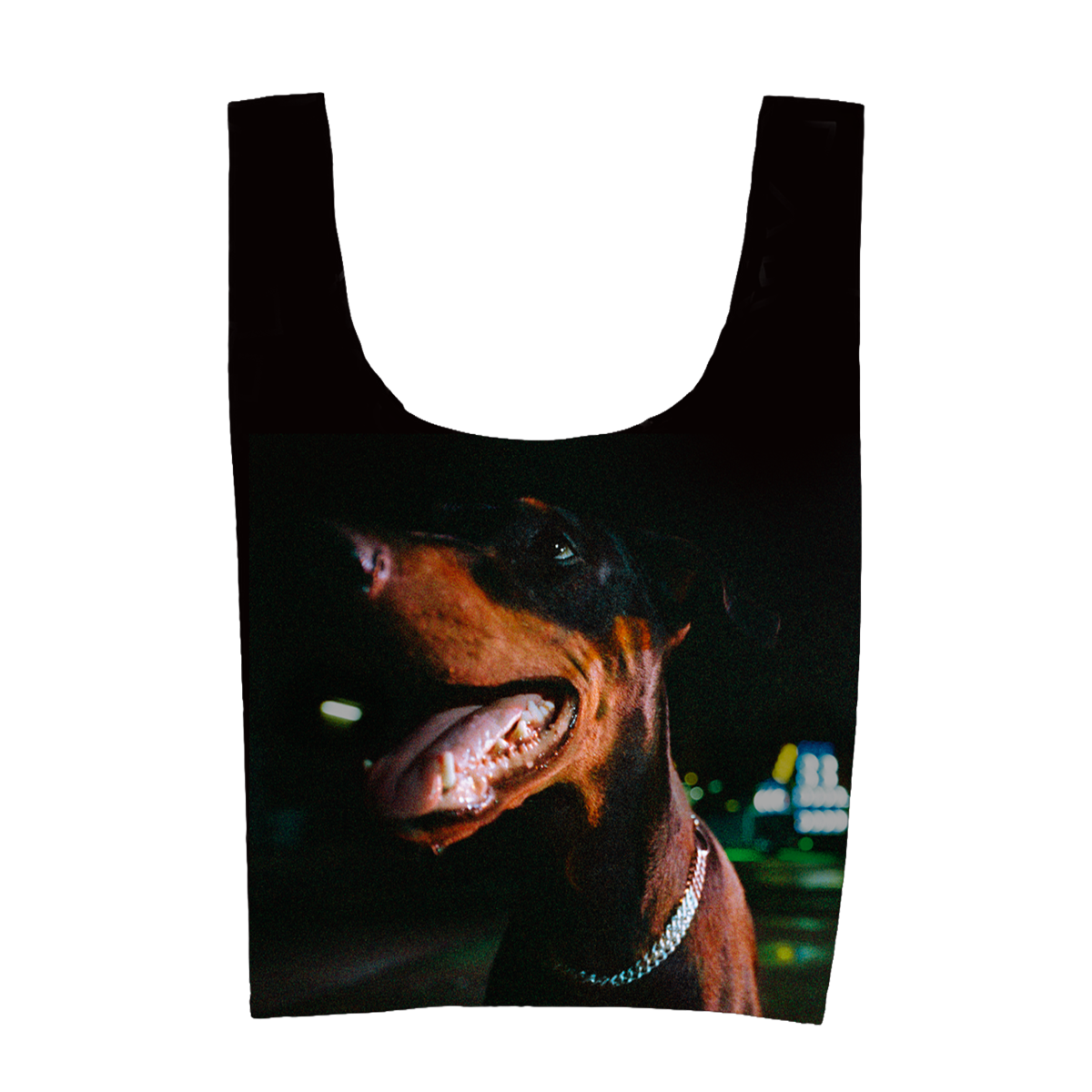 Pure Devotion Ripstop Nylon Bag