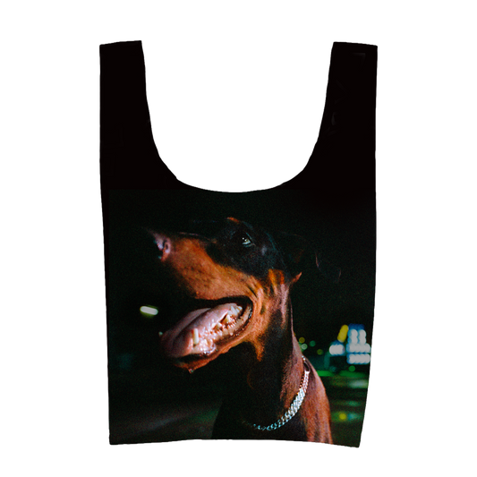 Pure Devotion Ripstop Nylon Bag