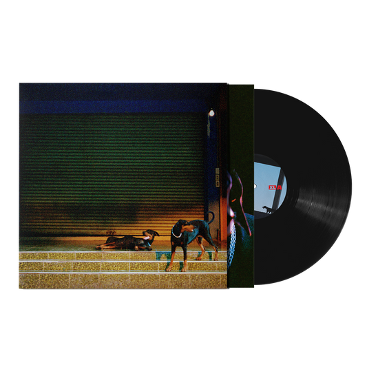 Pure Devotion Vinyl