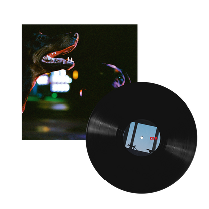 Pure Devotion Vinyl