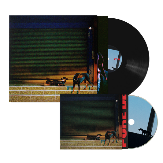 Vinyl + CD Bundle